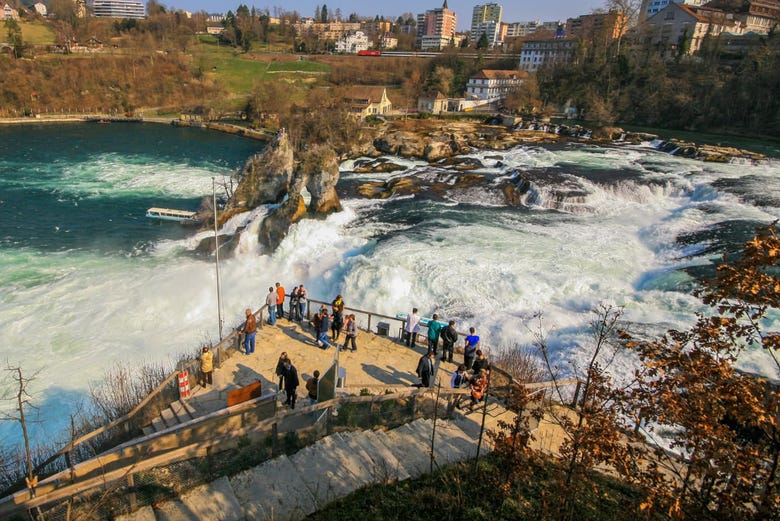 Contemplez les chutes du Rhin